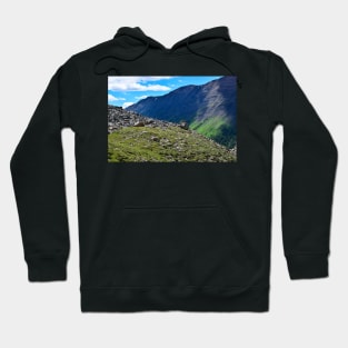 The Hills are Alive. Hoodie